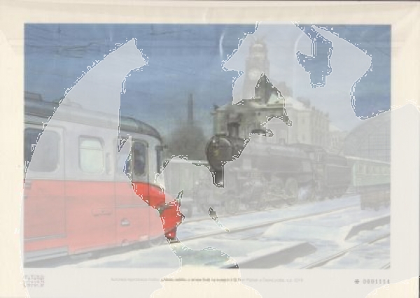 CZ 2018 98 018 **